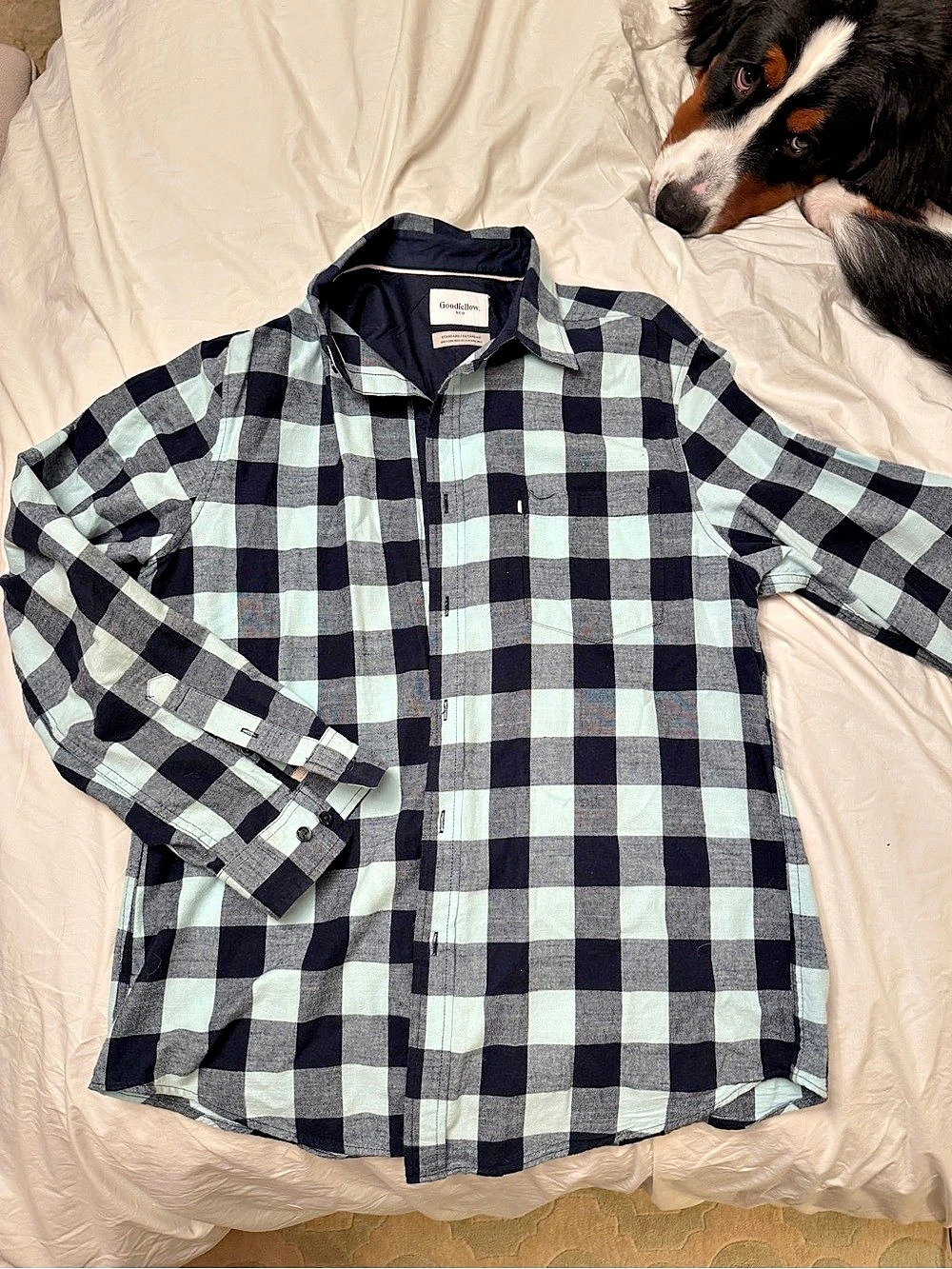 Goodfellow & Co Plaid Button Down Green & Black Medium